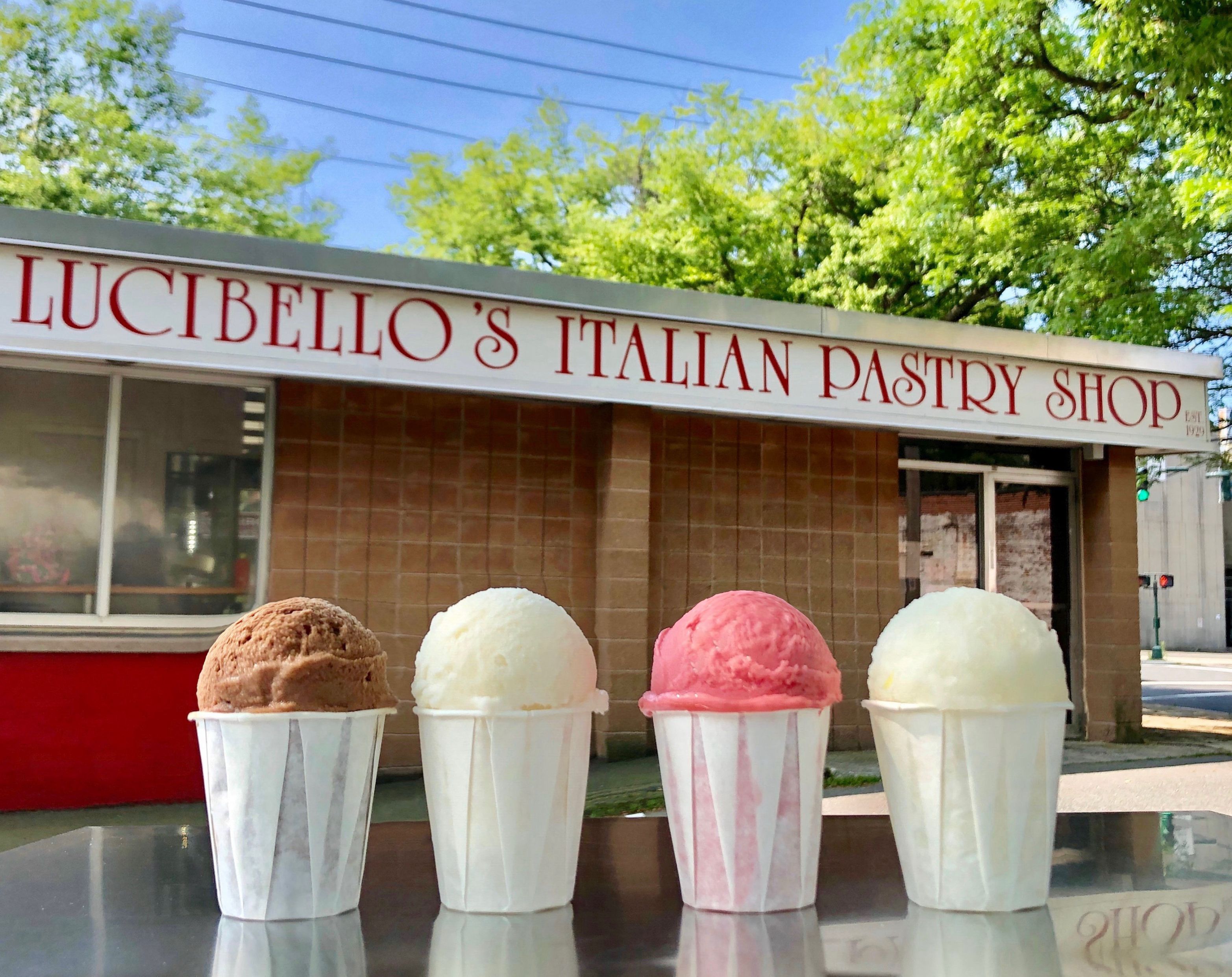  Italian Ice  (chocolate, vanilla, raspberry, lemon) - seasonal